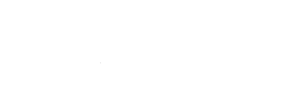 Savvy Aviation